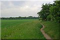 Footpath near Cox Green