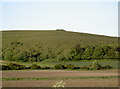 Scratchbury Hill