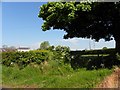 Ballynarry Townland