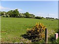 Castletown Townland