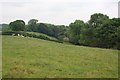 Field by Manor House farm, Crathorne