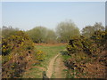 Looking east towards car park, Romany Ridge Common