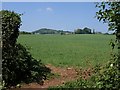 Field near Willett House