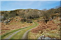 Farm track to Gellfawr