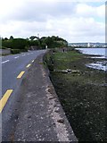 W7870 : R624 road to Cobh, Belvelly Townland by Mac McCarron