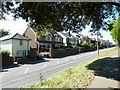 Houses in Broyle Road (3)