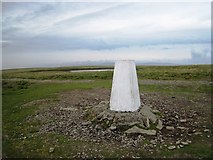 SD6697 : Trig point on The Calf, Howgill Fells by Philip Barker