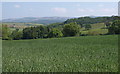 Landscape near Coleford Water