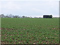 TQ8351 : Field of peas with water tank, near Broomfield, Kent by nick macneill