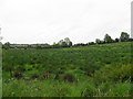 Ballynahatty Townland