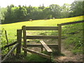 Stile in Coneyburrow Wood on the Tunbridge Wells Circular Walk