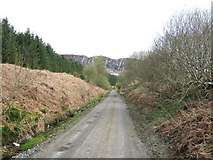 NX5463 : Dismantled railway by Ann Cook