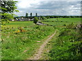 Footpath from Chacefield Wood