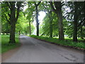 Road in Camperdown Park in Dundee