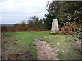 Older Hill Trig Point