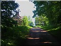 Track leading to a cottage and a pylon