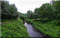 The River Medlock in Clayton Vale