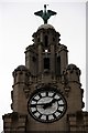 Royal Liver Building Clock Tower