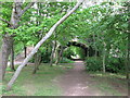 Footpath under Archer Road bridge, Penarth