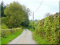 SO2941 : Lane between Dorstone and Mynyddbrydd by Jonathan Billinger