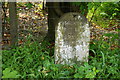 Milestone Near Lower Beeding, Sussex