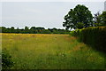 Field Near Lower Beeding, Sussex