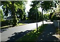 Approaching the crossroads of The Avenue, The Lane and Chestnut Avenue