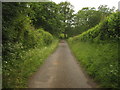 TQ5139 : Lane to Chafford Park by David Anstiss
