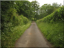 TQ5139 : Lane to Chafford Park by David Anstiss