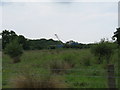 Crane on the Firsland Park Estate