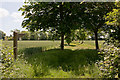 Footpath from Derrit Lane to Wiltshire Gardens