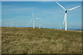 SN9195 : Carno Wind Farm by Philip Halling