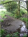 Waterhead Brook downstream of the mineral railway