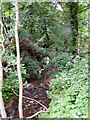 Torkington Brook