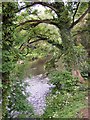 River Goyt