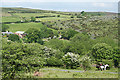 Widecombe in the Moor: by Shallowford