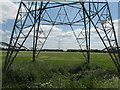 Pylons Marching Across Barton Moss