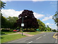 Cut Through Lane, University of Nottingham