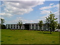 Newly planted trees at the University of Nottingham