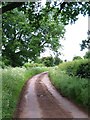 Country Lane near Thirlby