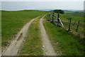 Track near Bronheulwen