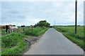 Cows, fields and road near Knapsleask