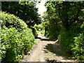 Barton Close Lane approaching Barton Close Farm