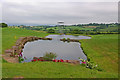 Lake by the 18th green, The Twenty Ten