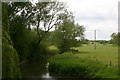 SP6305 : River Thame at Waterstock by David Kemp