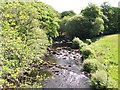 Afon Dwyfor below Pont Rhyd-y-benllig