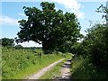 Farm track off Jacob