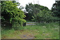 Looking down Hayesgate Lane towards M48 motorway