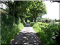 View eastwards along the lane in the direction of Criccieth