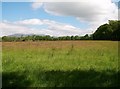 View eastwards across pasture land near Gwynfryn Farm